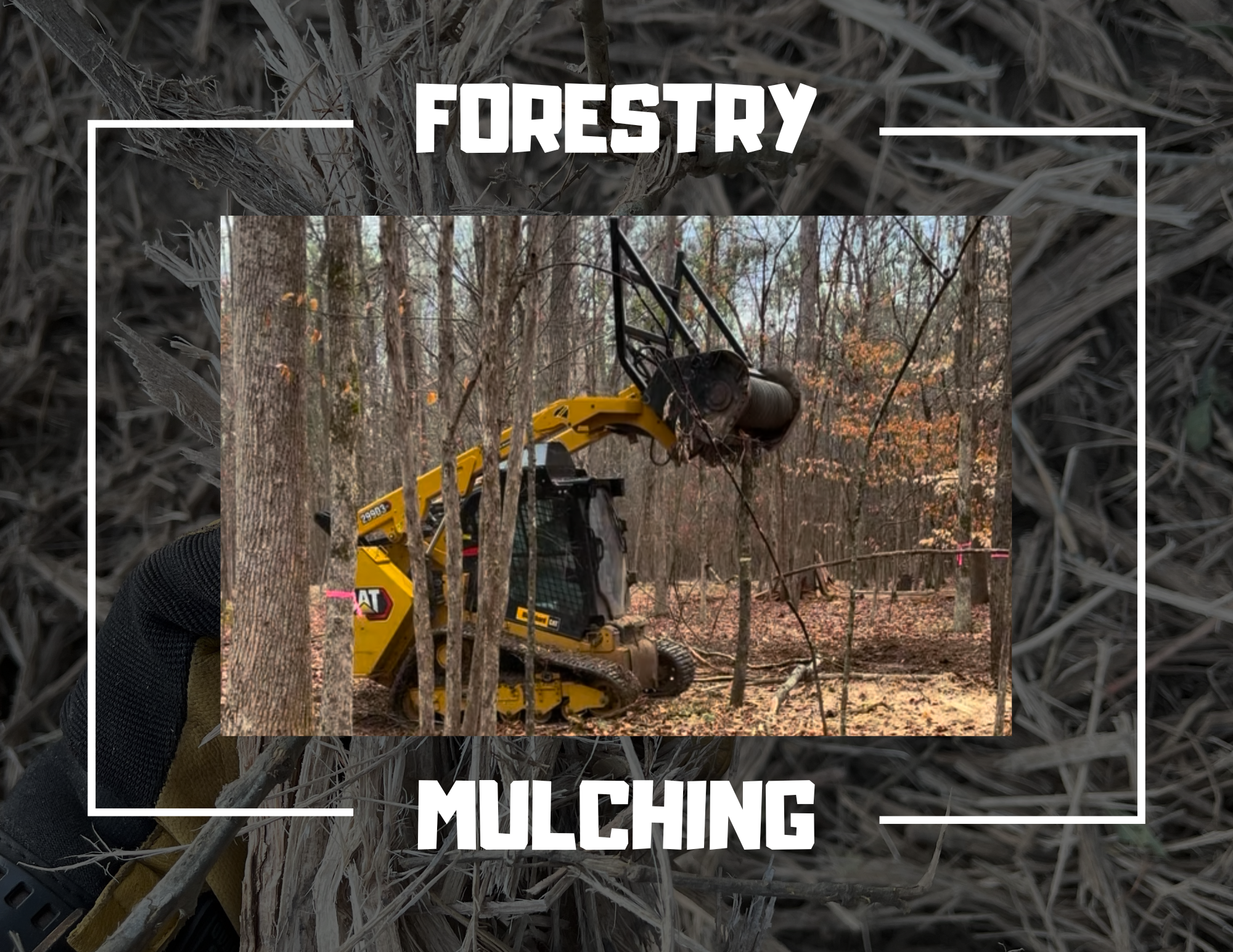 A picture of a forestry mulcher in the middle surrounded by the mulch it leaves on the ground after, transform your property. It also has the words Forestry Mulching surrounding the picture.